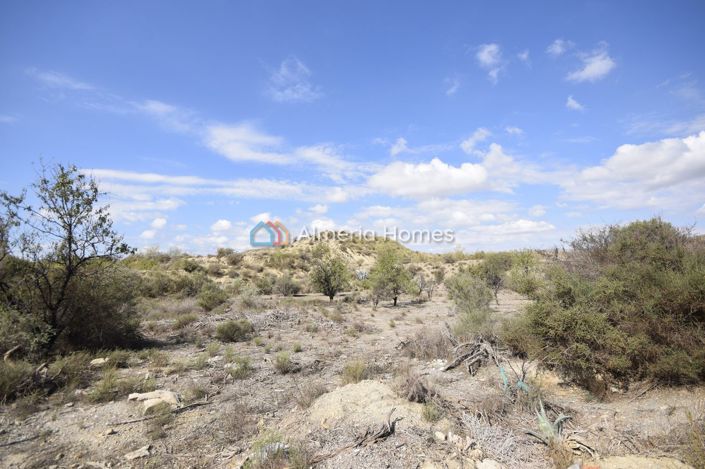 Image No.3-Land for sale