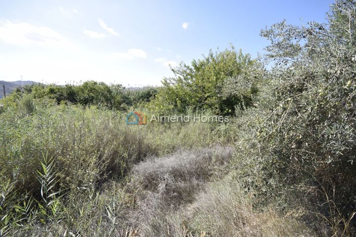 Image No.22-3 Bed Country House for sale