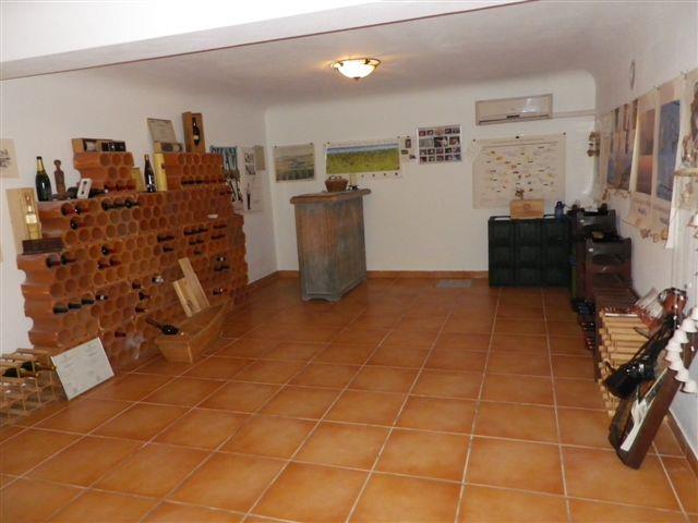 Image No.22-4 Bed House for sale