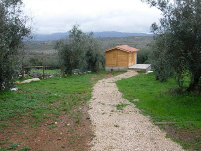 Image No.10-Terre à vendre à Ansião