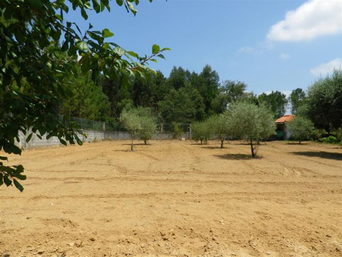 Image No.28-Maison / Villa de 3 chambres à vendre à Mata Mourisca