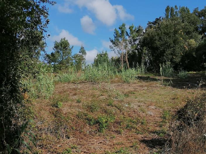 Image No.6-Land for sale