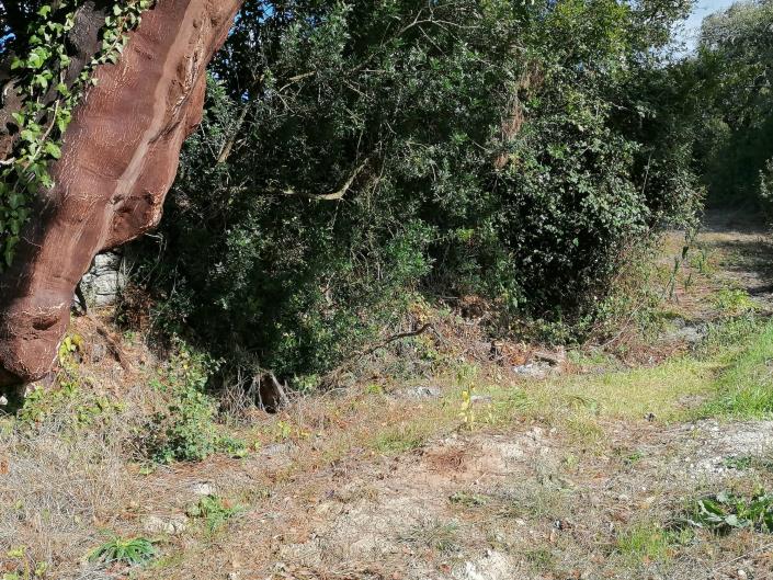 Image No.7-Land for sale