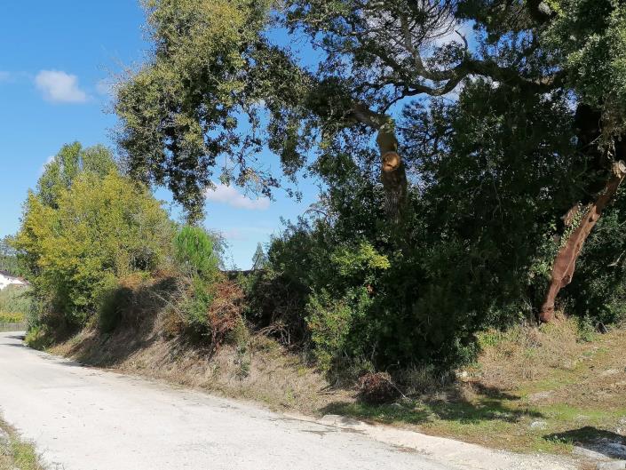 Image No.8-Land for sale