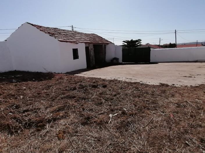 Image No.16-Ferme de 3 chambres à vendre à Alcobaça