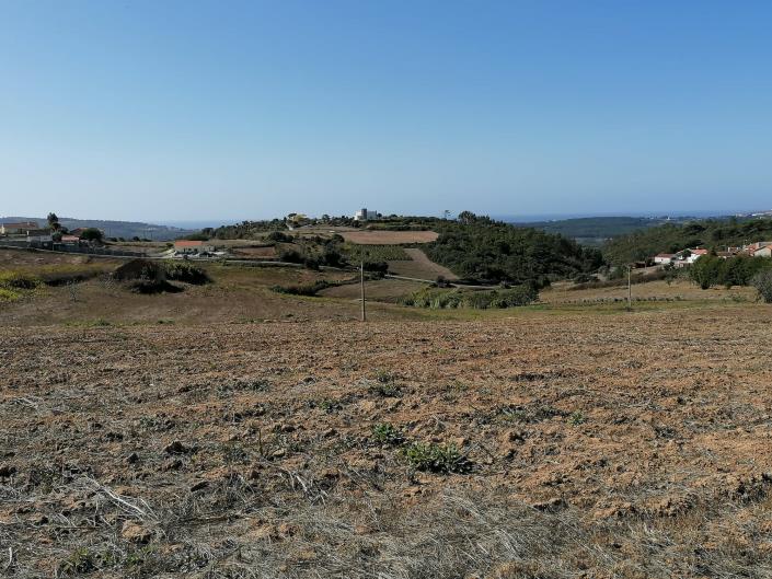 Image No.21-Ferme de 3 chambres à vendre à Alcobaça