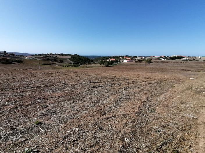 Image No.23-Ferme de 3 chambres à vendre à Alcobaça
