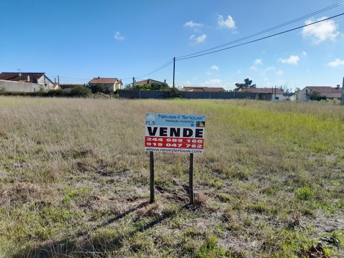 Image No.1-Terre à vendre à Vieira de Leiria