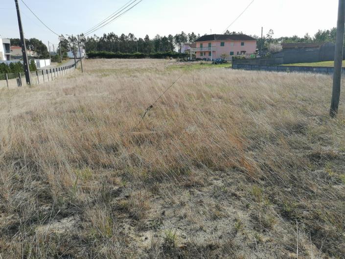 Image No.2-Land for sale