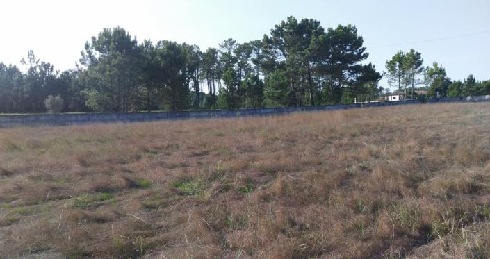 Image No.3-Land for sale