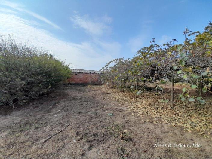 Image No.11-Propriété de pays à vendre à Louriçal