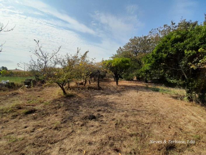 Image No.12-Propriété de pays à vendre à Louriçal