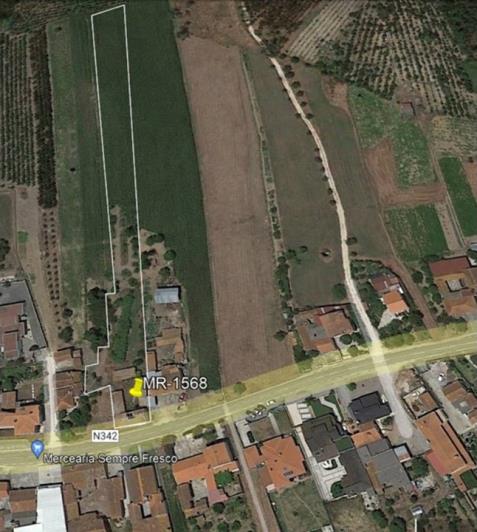 Image No.15-Propriété de pays à vendre à Louriçal