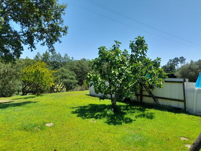 Image No.35-Maison / Villa de 5 chambres à vendre à Monte Redondo