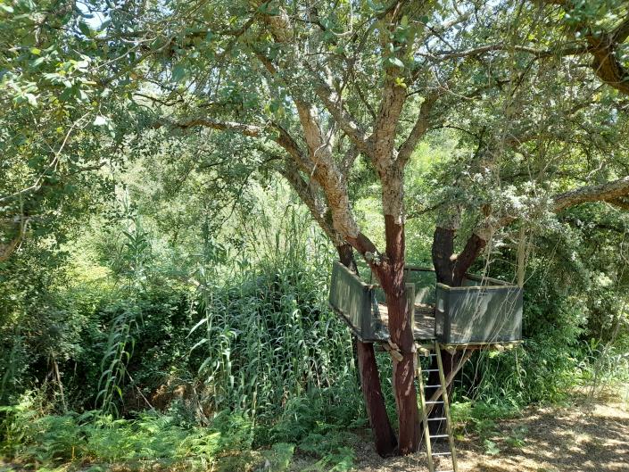 Image No.43-Maison / Villa de 5 chambres à vendre à Monte Redondo
