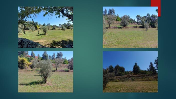 Image No.13-Propriété de 4 chambres à vendre à Pedrógão Grande