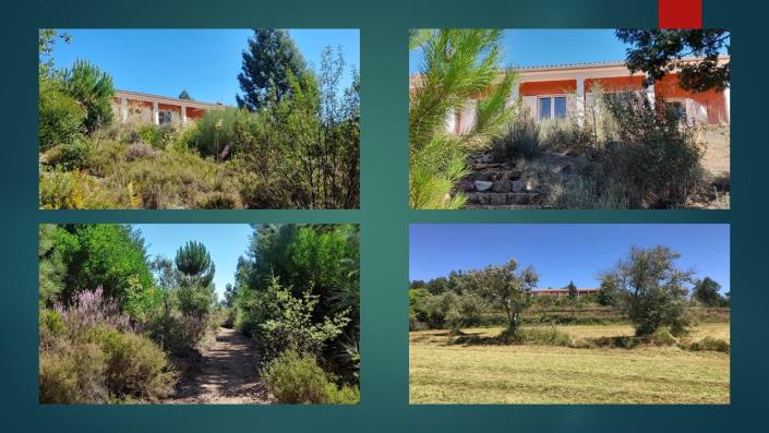 Image No.25-Propriété de 4 chambres à vendre à Pedrógão Grande