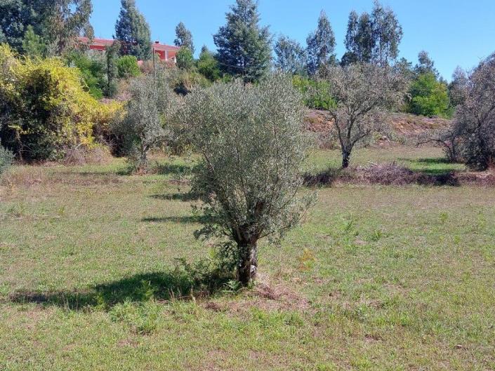 Image No.34-Propriété de 4 chambres à vendre à Pedrógão Grande