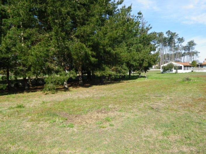 Image No.54-5 Bed Property for sale