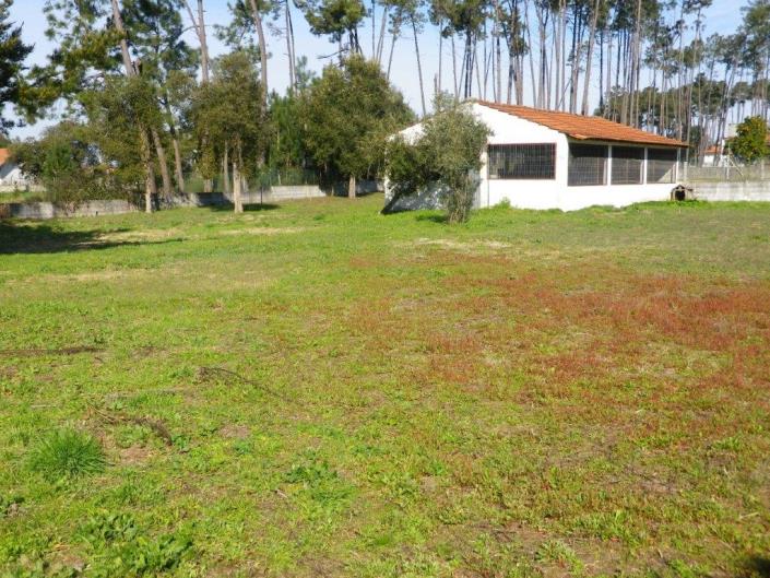 Image No.59-5 Bed Property for sale