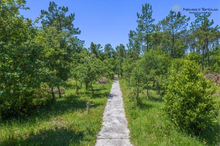 Image No.32-Maison / Villa de 3 chambres à vendre à Coimbrão