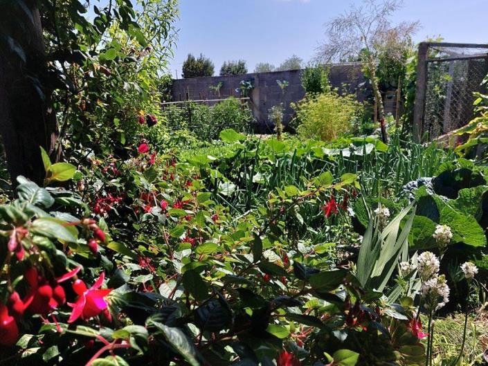 Image No.48-Maison / Villa de 4 chambres à vendre à Coimbrão