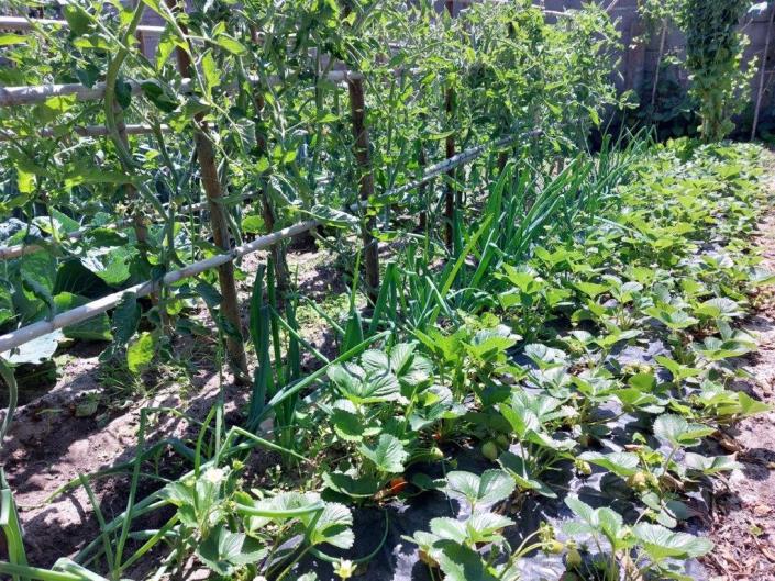 Image No.49-Maison / Villa de 4 chambres à vendre à Coimbrão