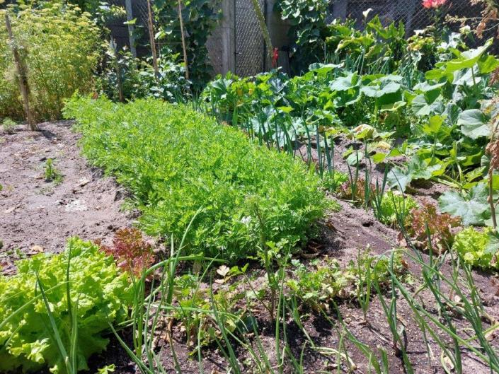 Image No.50-Maison / Villa de 4 chambres à vendre à Coimbrão