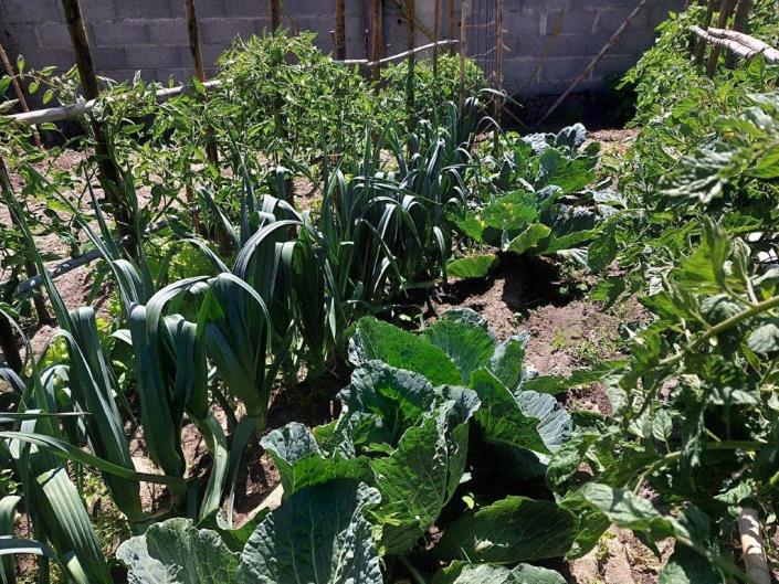 Image No.51-Maison / Villa de 4 chambres à vendre à Coimbrão