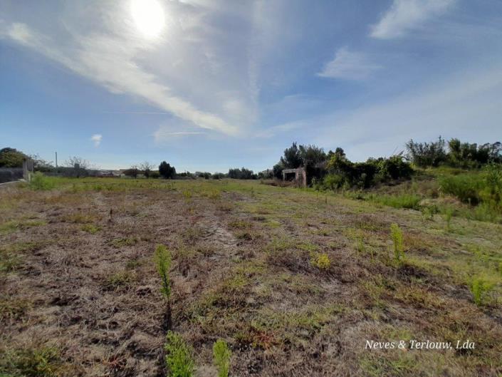 Image No.3-Terre à vendre à Coimbrão