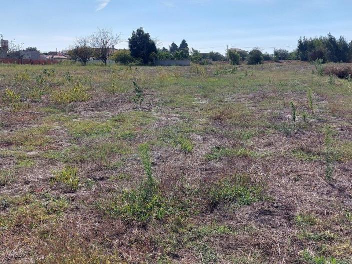 Image No.4-Terre à vendre à Coimbrão