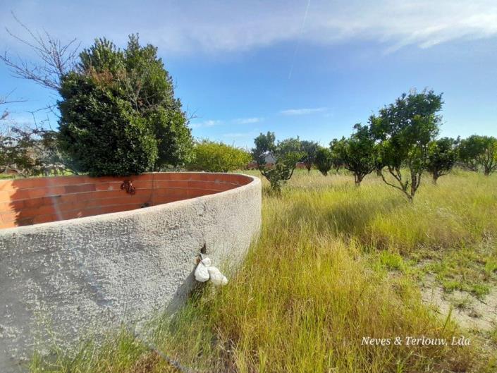 Image No.6-Terre à vendre à Coimbrão