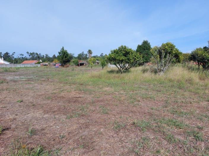 Image No.7-Terre à vendre à Coimbrão