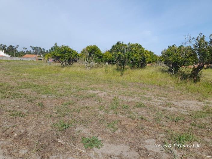 Image No.8-Terre à vendre à Coimbrão
