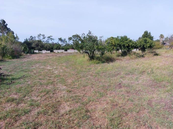 Image No.9-Terre à vendre à Coimbrão