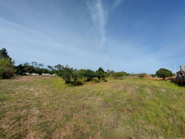 Image No.10-Terre à vendre à Coimbrão