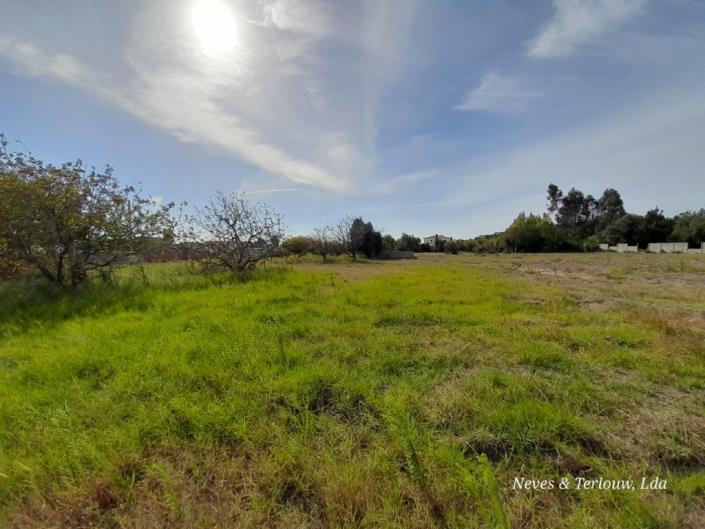 Image No.12-Terre à vendre à Coimbrão