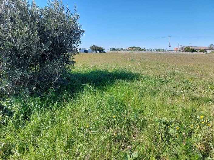 Image No.4-Plot for sale