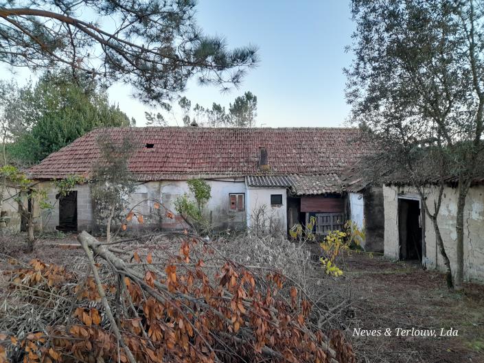 Image No.10-Maison de campagne à vendre à Leiria