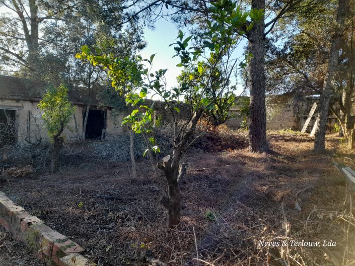 Image No.17-Maison de campagne à vendre à Leiria