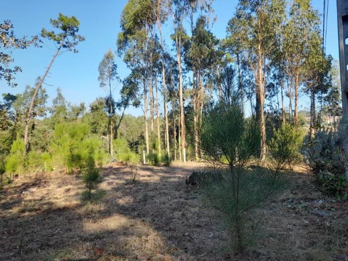 Image No.2-Plot for sale