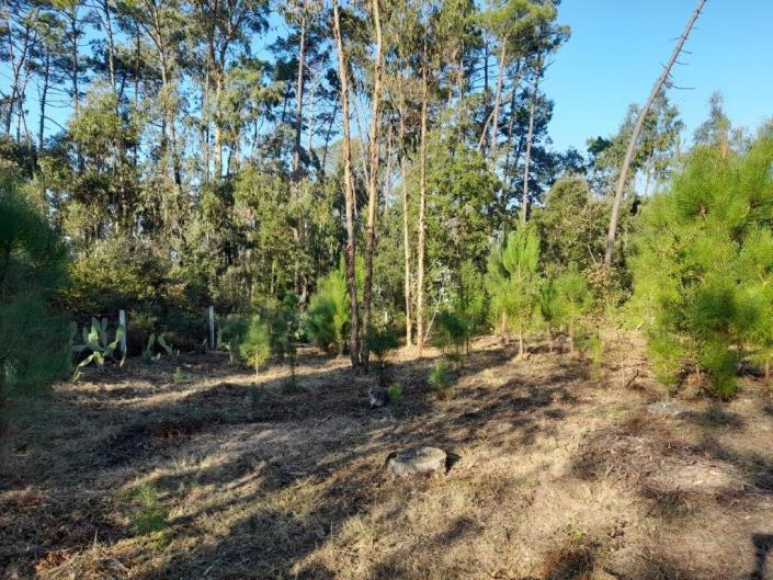 Image No.3-Plot for sale