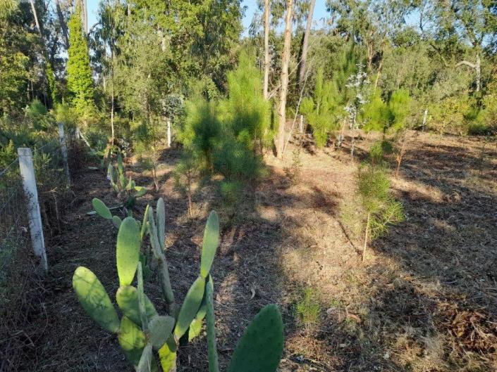 Image No.4-Plot for sale