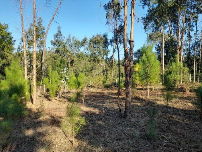 Image No.5-Plot for sale