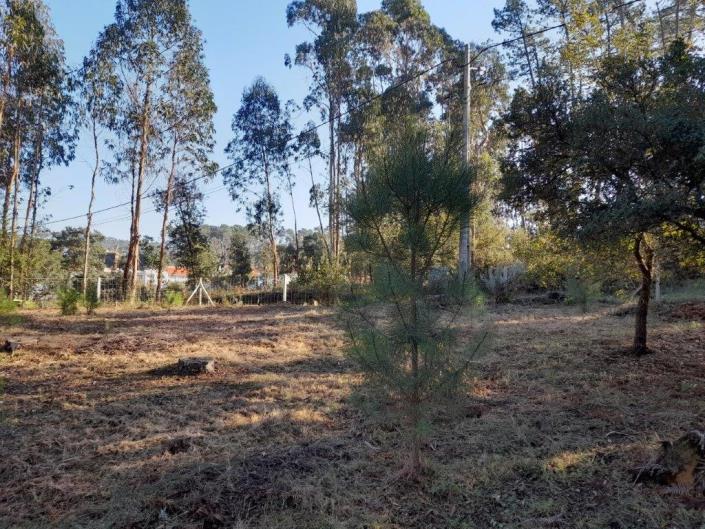 Image No.6-Plot for sale