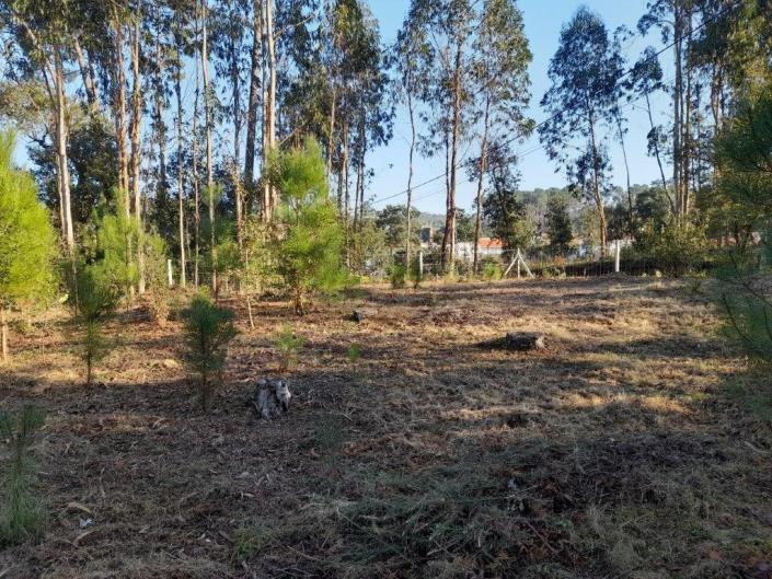 Image No.7-Plot for sale