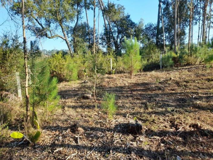 Image No.8-Plot for sale