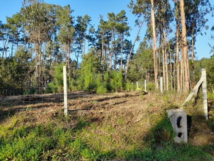 Image No.9-Plot for sale