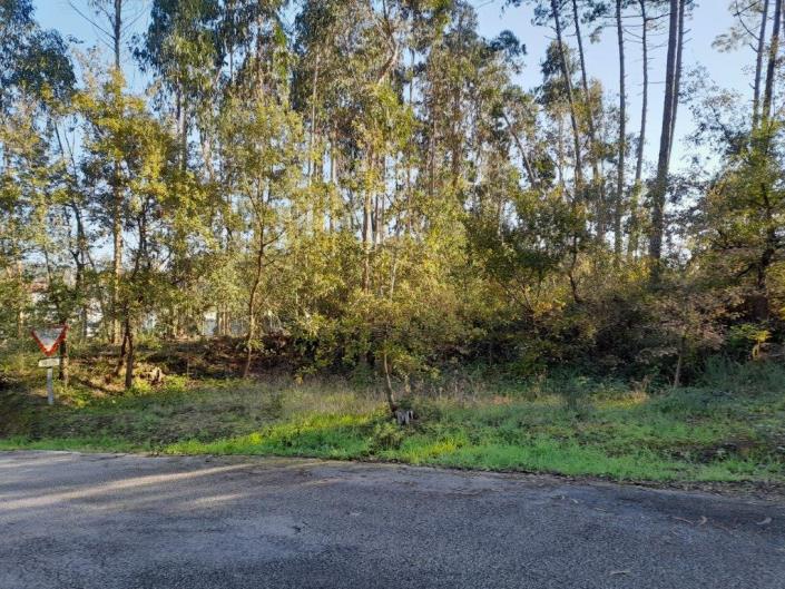 Image No.11-Plot for sale