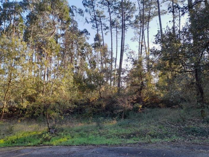 Image No.12-Plot for sale